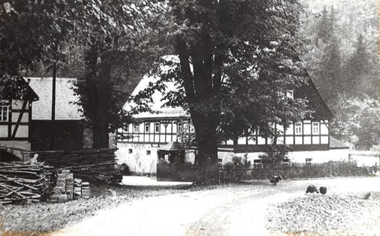 40 Jahre Naturhotel Lindenhof